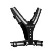 Bee-Seen Led Harnas USB Zwart -MoveWear Verkoopwinkel 36917085 1