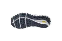 Mizuno Wave Skyrise 2 Loopschoen Blauw Heren -MoveWear Verkoopwinkel 37093289 4